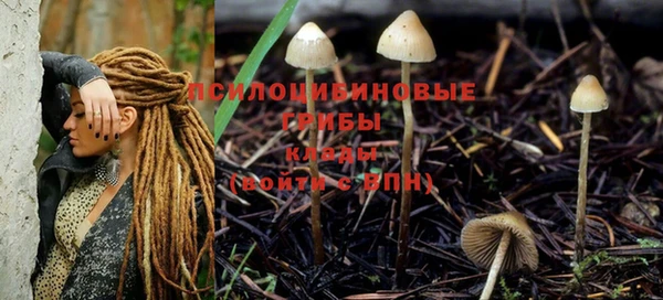 синтетический гашиш Михайловка