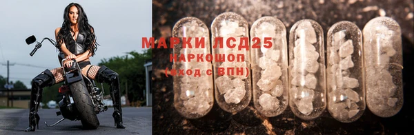 трава Михайловск