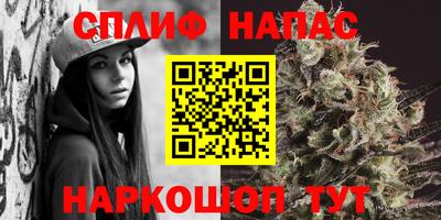 дживик Гай