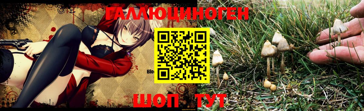 Галлюциногенные грибы MAGIC MUSHROOMS  Вход с VPN  Луховицы 