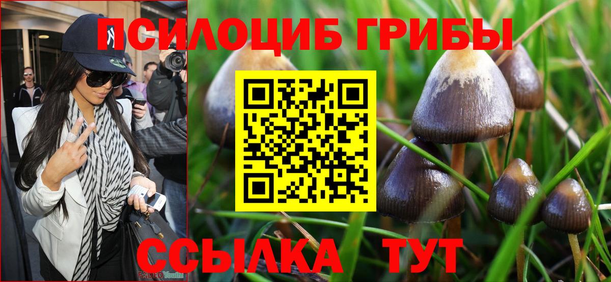 Галлюциногенные грибы Cubensis Луховицы