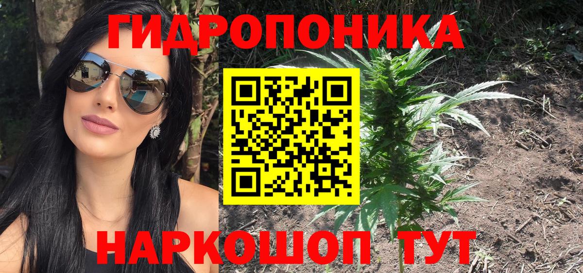 Бошки марихуана план Луховицы